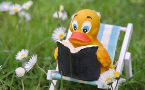 Ente im Liegenstuhl liest ein Buch